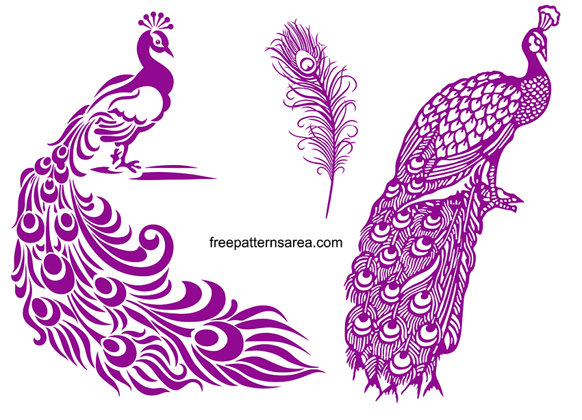 Peacock Svg Cutting File for Cricut