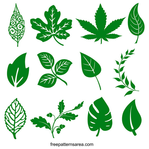 Natural Leaves PNG Transparent Images Free Download, Vector Files